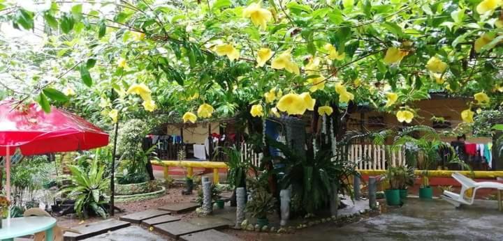 Ennas Place Coron Luaran gambar